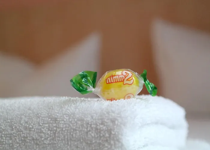 센트럴 호텔 뒤셀도르프